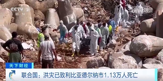 开元277棋app下载